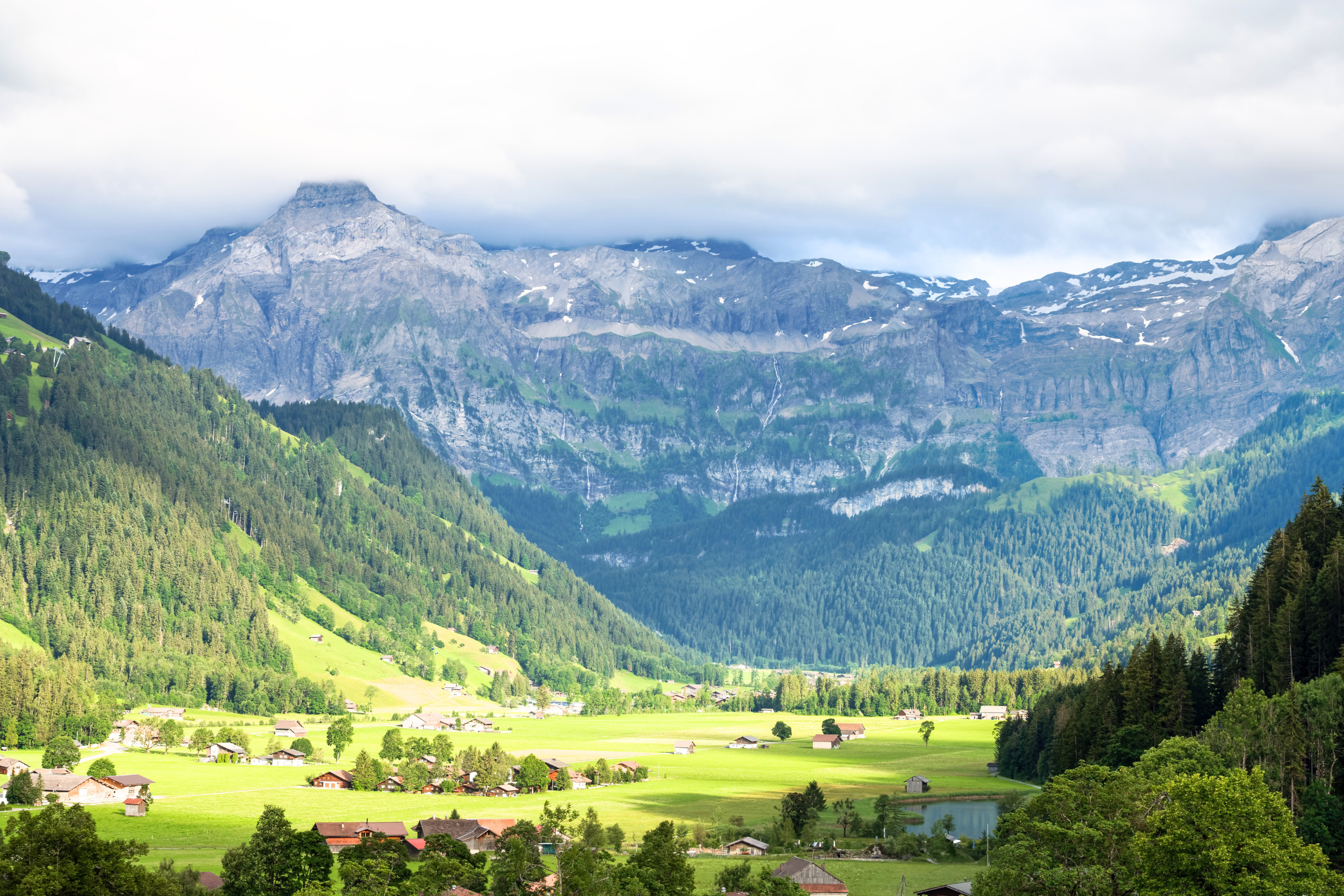 19_Lenk[1] (1).webp